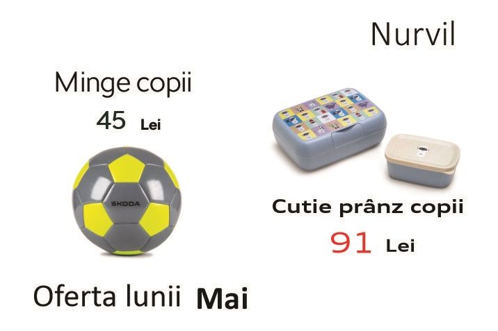 Minge Skoda copii