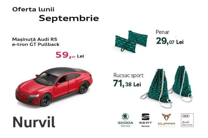 Accesorii Audi&Skoda 
