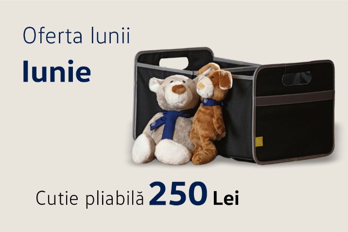 oferta luni